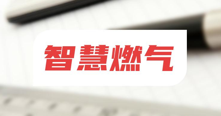 解碼智慧燃?xì)猓簭募夹g(shù)賦能到場(chǎng)景革新的多維圖景